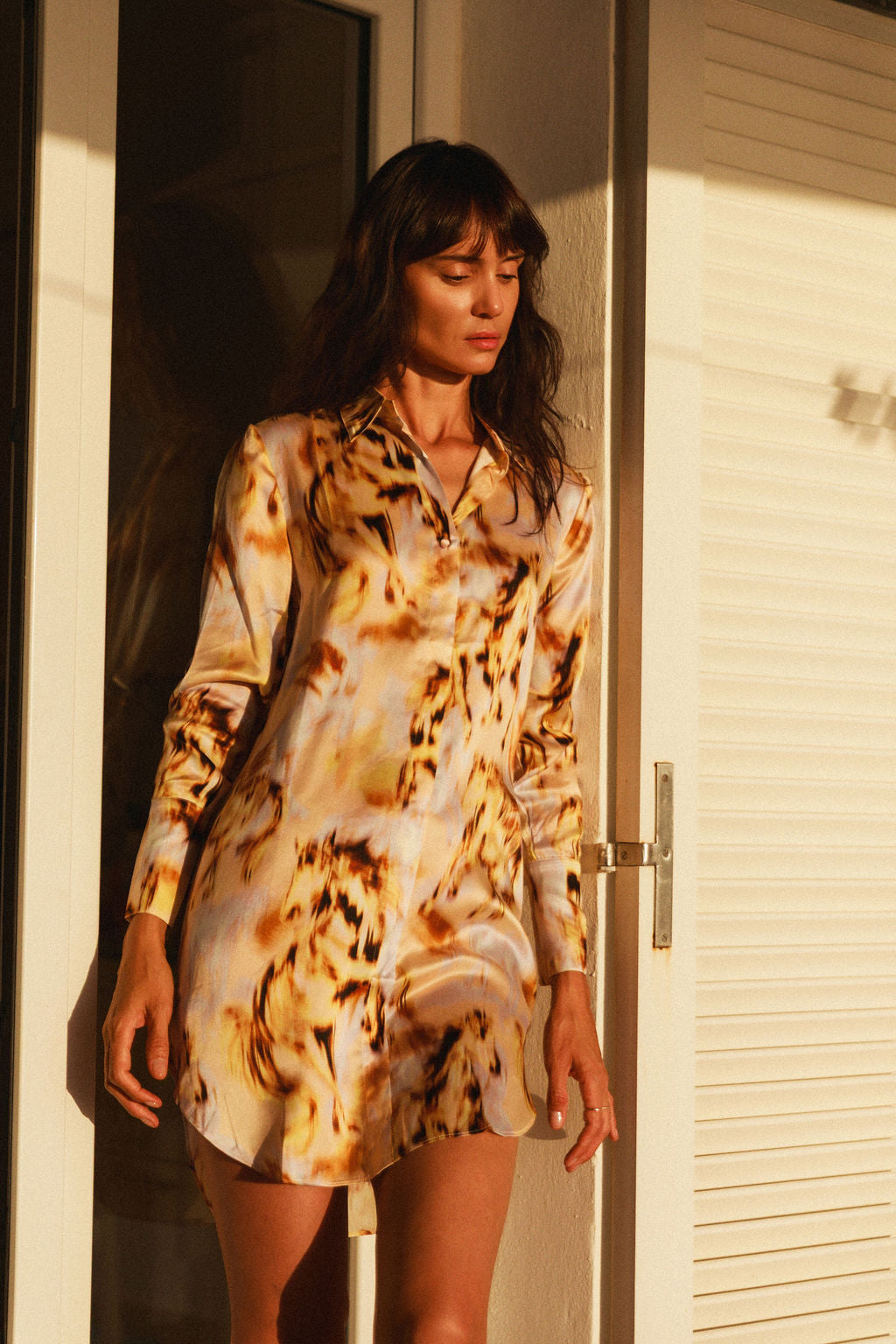 Daria Silk Shirt Dress - Wild Horse