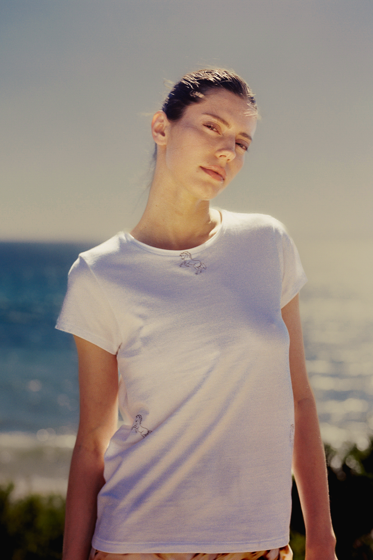 Embroidered Cotton T-Shirt - Horse