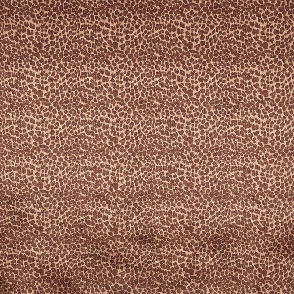 Elegant Leopard