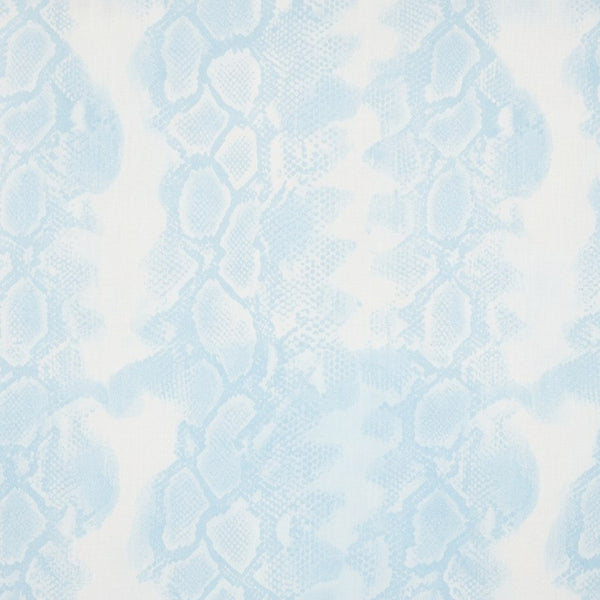 Sky Blue Snake