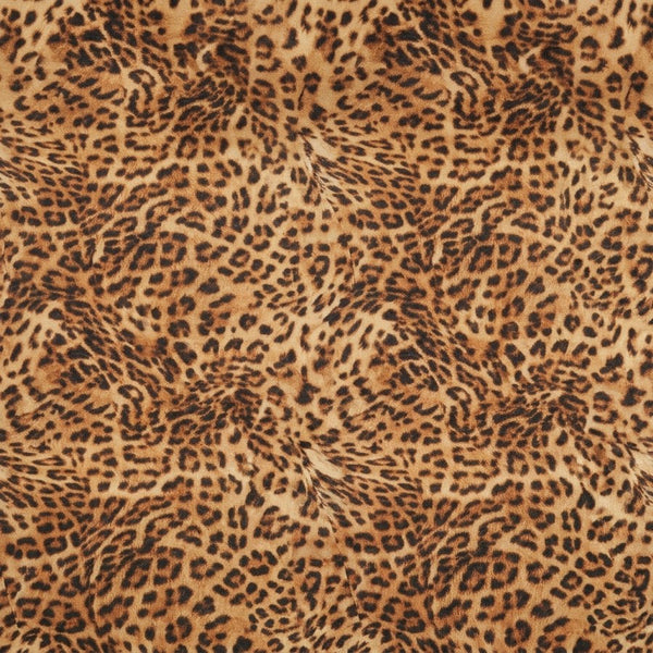Soft Leopard