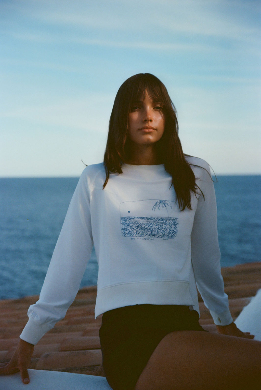 Embroidered Sweatshirt - This is a Lifestyle