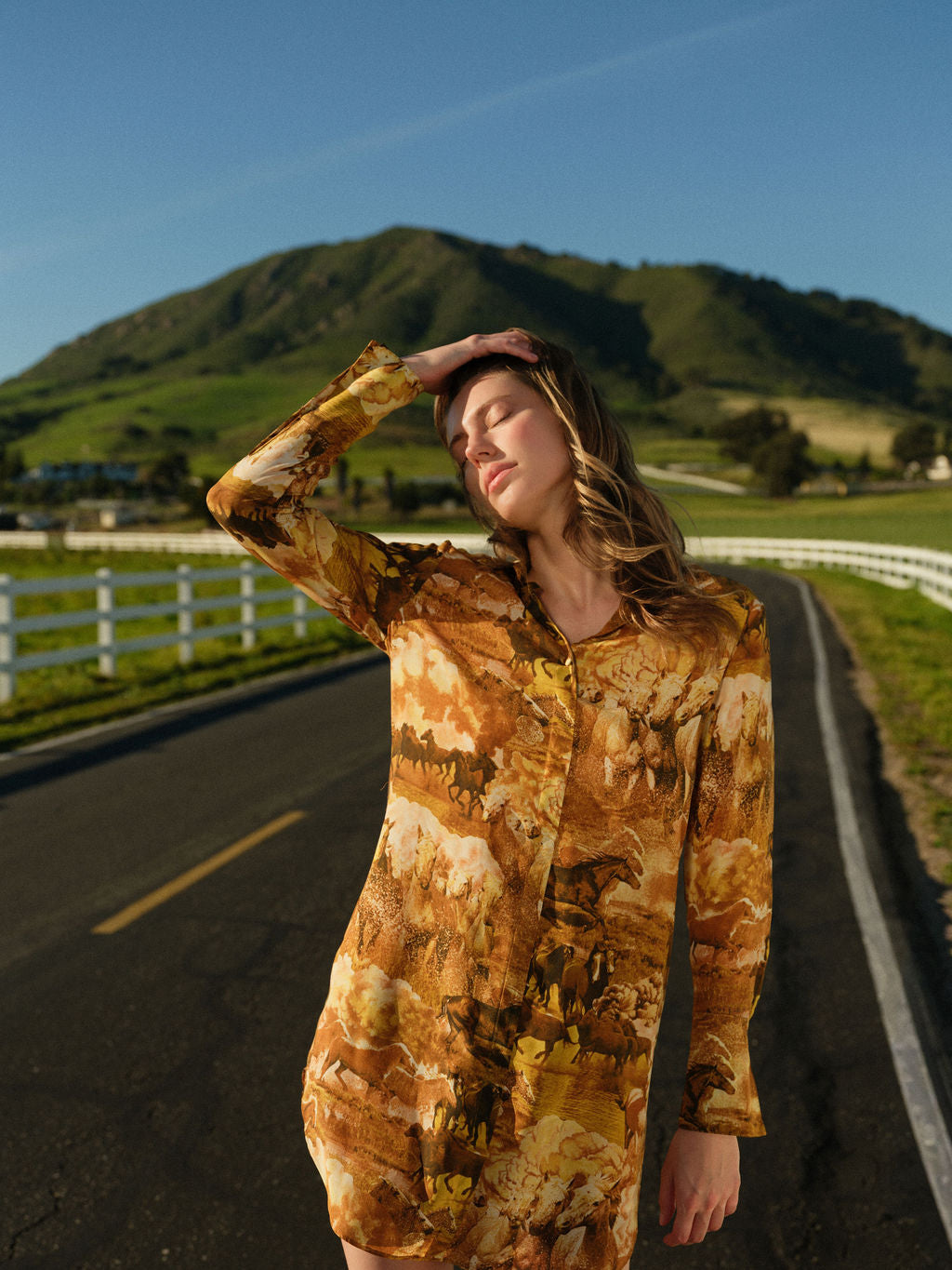 Daria Dress - Western Horses