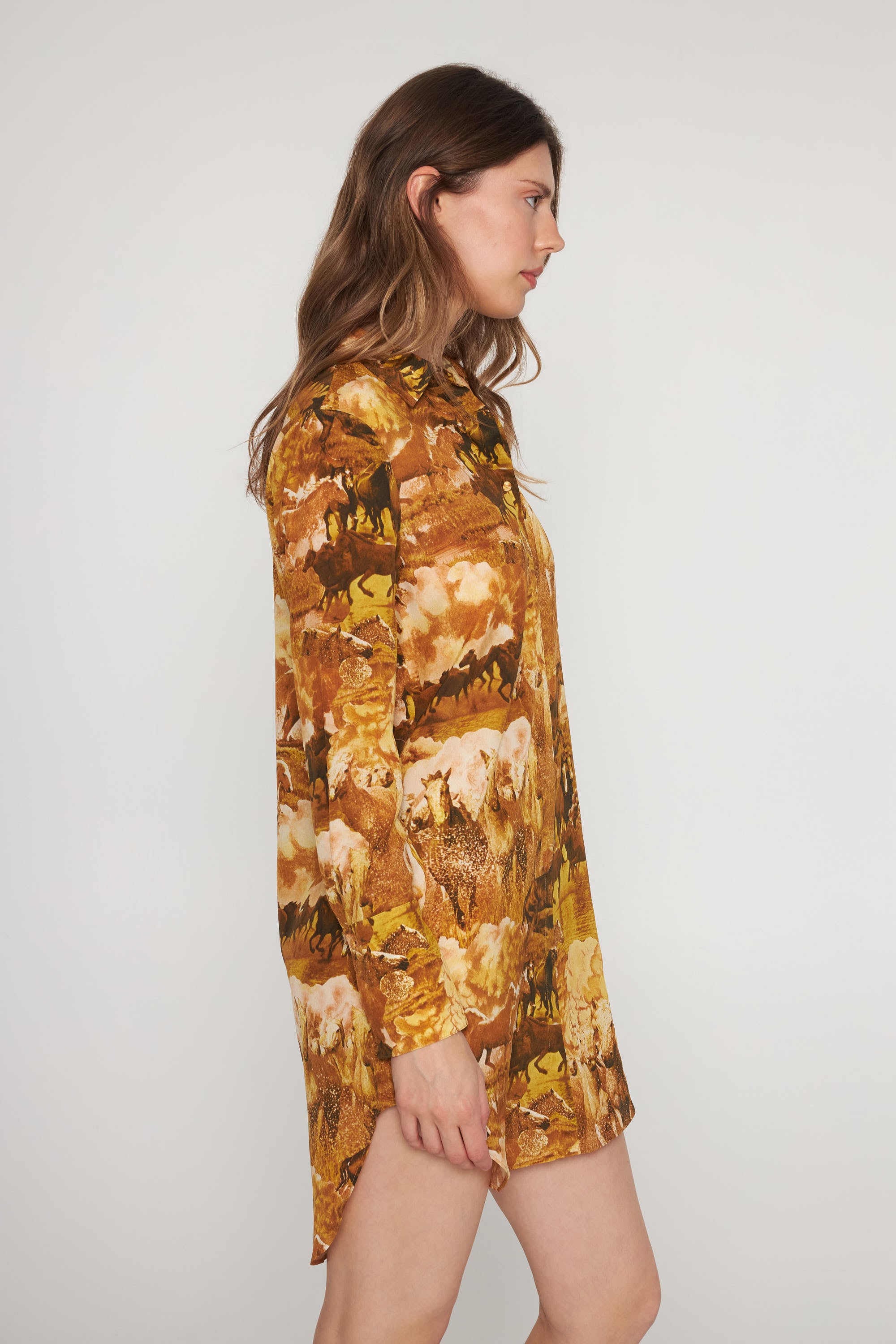 Daria Dress - Western Horses