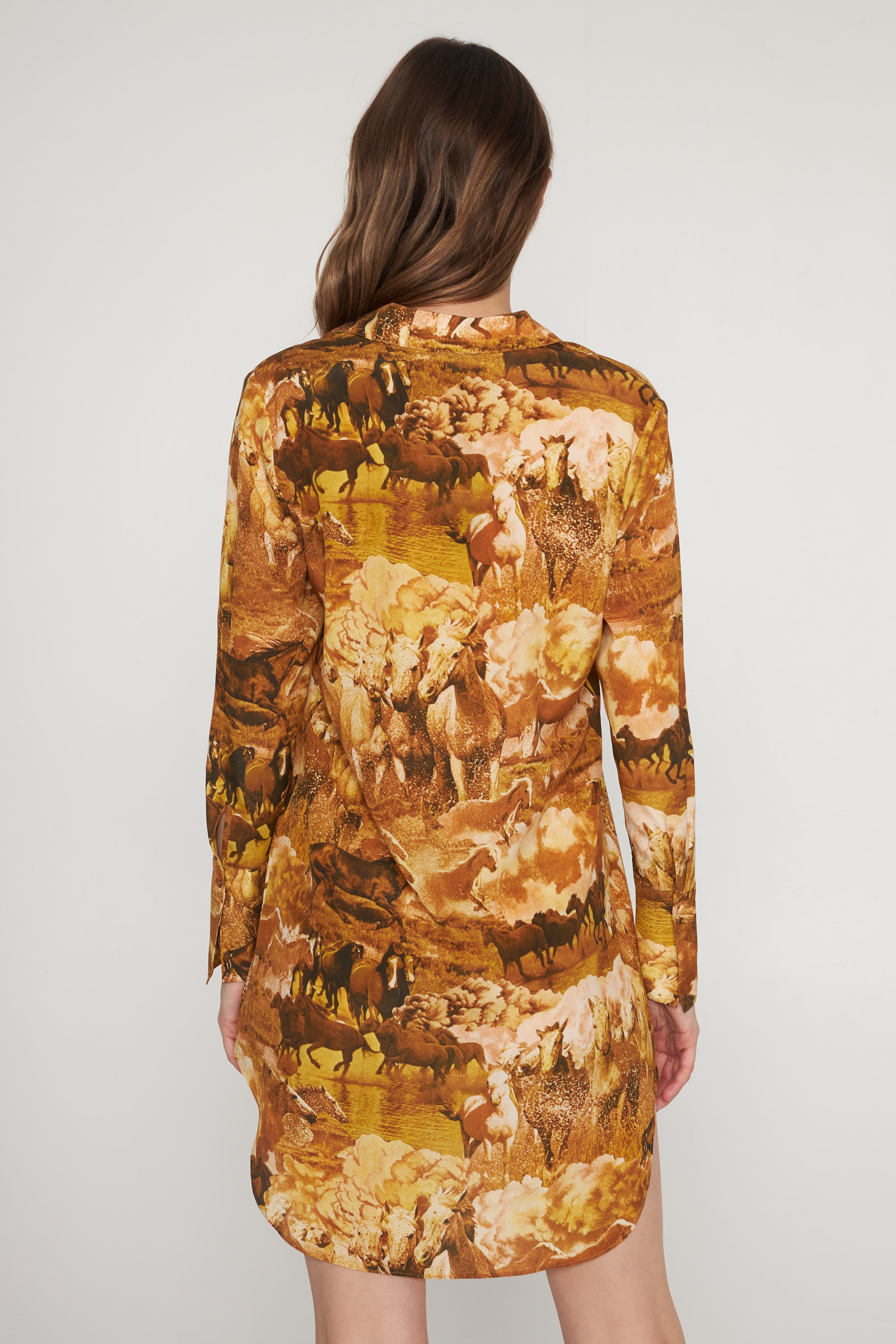 Daria Dress - Western Horses