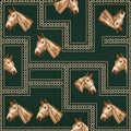 Argentine Horse