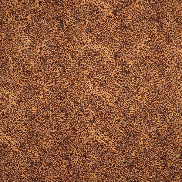 Clean Leopard