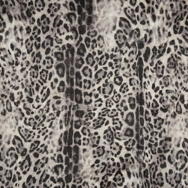 Snow Leopard