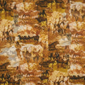 Western Horses