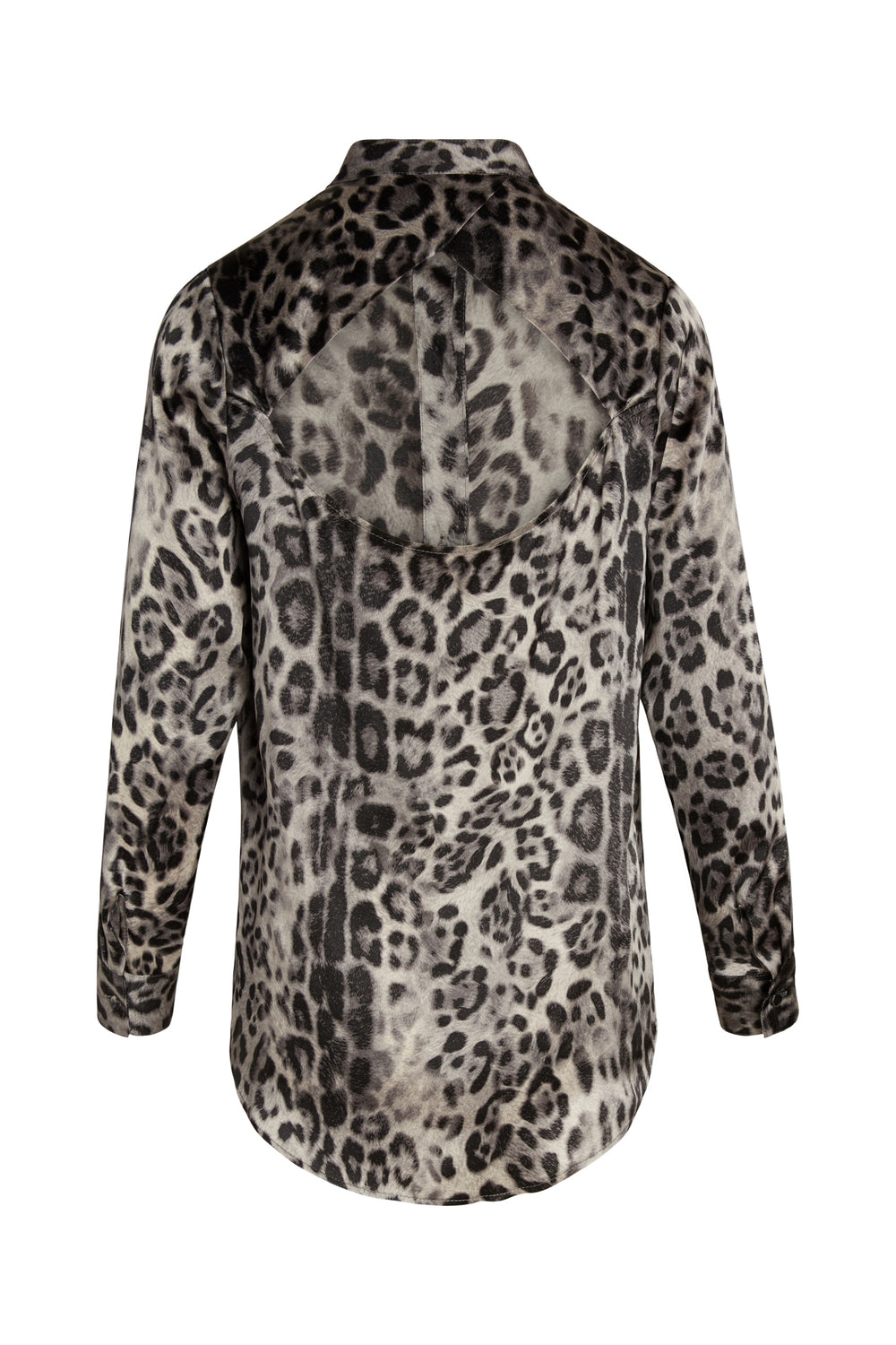 Snow Leopard